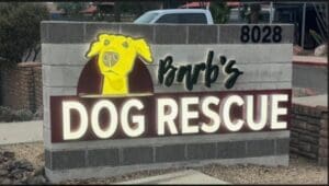Barb's dog rescue signage lighting types